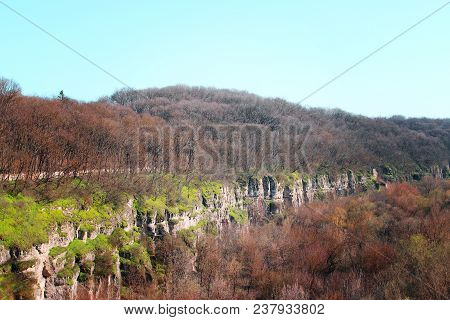 Stone Canyon Overgrown With Trees And Vegetation