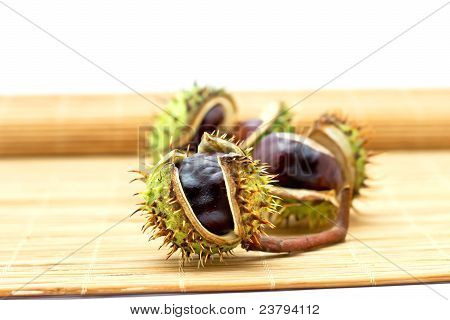 chestnuts ที่แยกต่างหากใน beckground สีขาว
