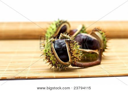 chestnuts ที่แยกต่างหากใน beckground สีขาว