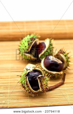 chestnuts ที่แยกต่างหากใน beckground สีขาว