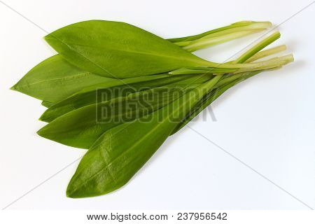 Ramsons, Buckrams, Wild Garlic On A White Background