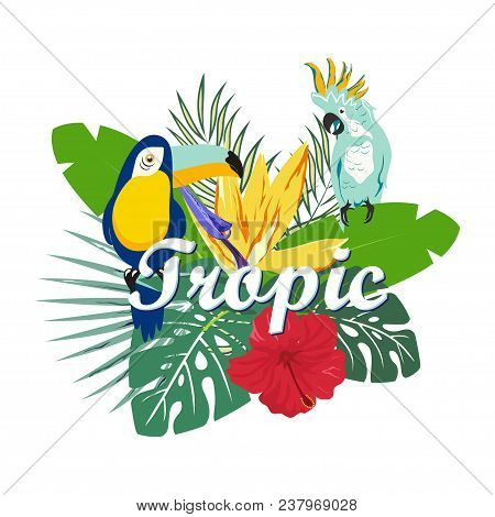 Bright Tropical Composition With Tukan, Parrot, Pile Leaf, Flower And Inscription, Tropical Banner