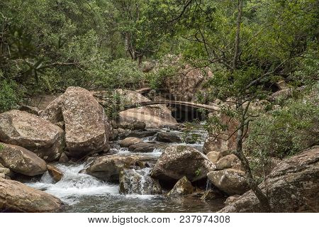 A Bridge Over The Mahai River On The Hiking Trail To The Cascades In The  Kwazulu-natal Drakensberg