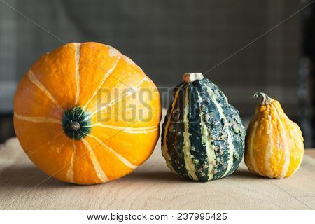 Collection Of Decorative Pumpins On Wooden Background - Autumn Background