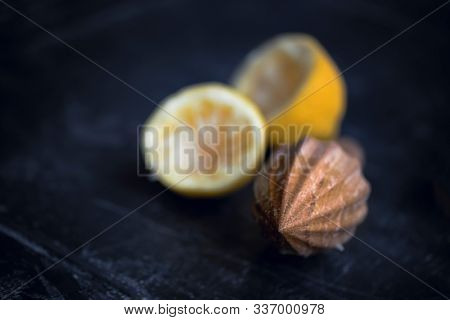 Wooden hand juicer and cut lemons. Retro style still life of squeezing lemons for lemonade or food preparation. Shallow depth of field with focus on tip of the juicer.