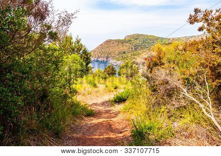 Scenic Landscape View From The Overgrown Rocky Mountains Of Cilento And Vallo Di Diano National Park