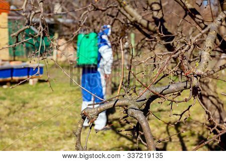Fresh Pruned Twig With Bud Before Chemical Protection. Farmer In Protective Clothing And Gas Mask Sp