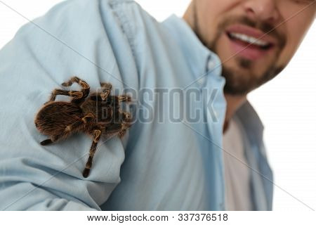 Man With Tarantula At Home, Closeup. Arachnophobia (fear Of Spiders)
