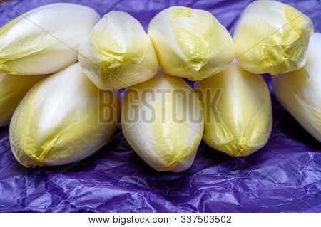 Fresh White Belgian Endive Or Chicory Heads