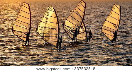 Group Of Windsurfers Practicing At Golden Sunset At Sea