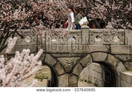 Seoul,south Korea April 9 2019 : Tourist Walking Among Cherry Blossom At Okcheongyo Bridge Which Is 