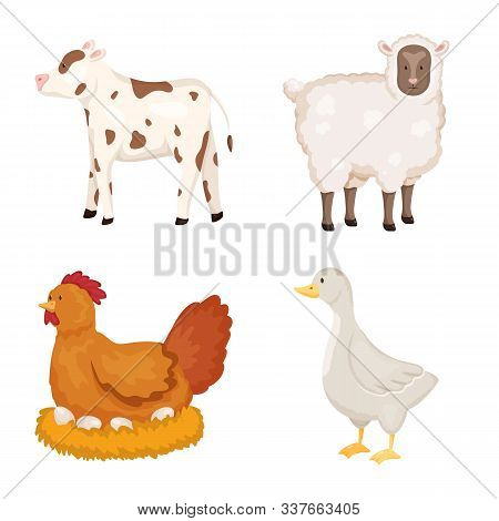 Vector Design Of Farm And Food Icon. Set Of Farm And Countryside Vector Icon For Stock.