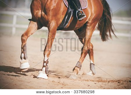 The Legs Of A Graceful Unshod Horse, With A Rider In The Saddle, Trotting Across The Sandy Arena, An