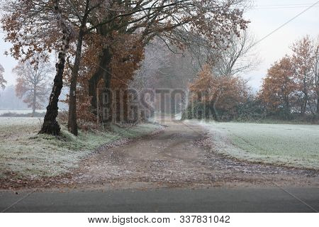 Forest Road In Winl Nature Background Dorsten Rhade High Quality