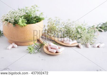 Alternative Medicine, Naturopathy And Dietary Supplement. Herbal Remedy In Capsules And Plants. Side