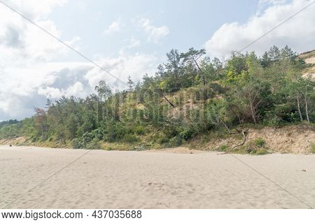 Chlapowo Cliff With Trees In Poland At Summer Time.
