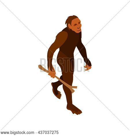 Isometric Human Evolution Composition With Character Of Ape Man With Stick Isolated On Blank Backgro