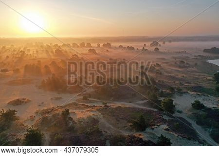 Aerial from sunrise in the forest from Friesland in the Netherlands