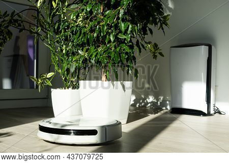 Robot Vacuum Cleaner And Air Purifier. Health Microclimate At Home Concept