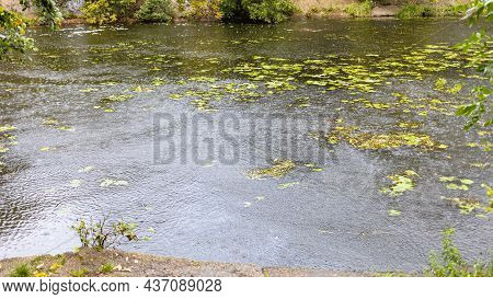 Ripples In Water Surface Of City Pond In Rain. Bolshoy Akademicheskiy Pond In Moscow City In Septemb