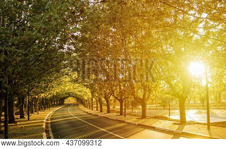 Road Full Of Trees During Sunset.sunset.trees And Sunset.tunnel Of Trees.nature.landscapes.roads Dur