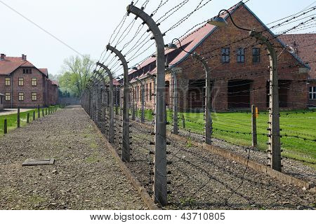 Auschwitz
