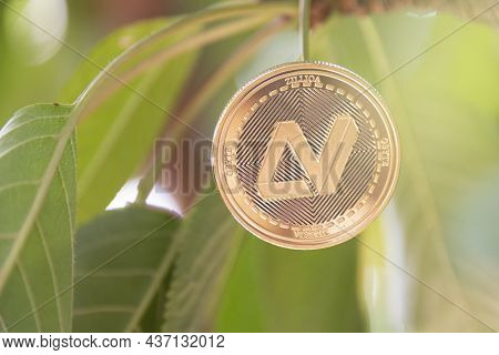 Zilliqa, Cryptocurrency Concept, Tree-born Currency Concept. Blockchain.