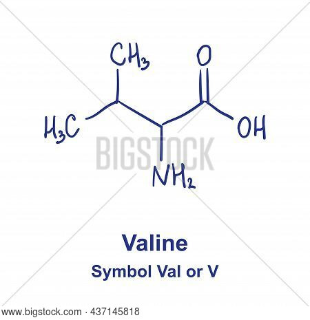 Valine Chemical Structure. Vector Illustration Hand Drawn
