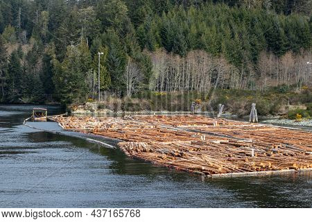 Log Boom On The Jordan River On Vancouver Island In British Columbia