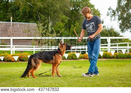 A Male Dog Handler, Owner Of A Young German Shepherd Dog, Trains His Dog On A Training Field.