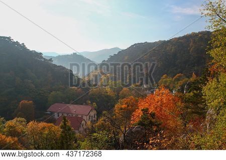 Beautiful Autumn Landscape Scenery: Pine Tree Forest Near Moedling. Beautiful City Next To Vienna, A