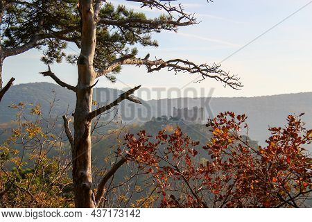 Idyllic And Beautiful Autumn Landscape: View To An Old Castle In A Majestic Pine Tree Forest. Nature