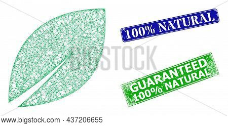 Mesh Botanic Leaf Model, And 100 Percent Natural Blue And Green Rectangular Dirty Stamp Seals. Mesh 
