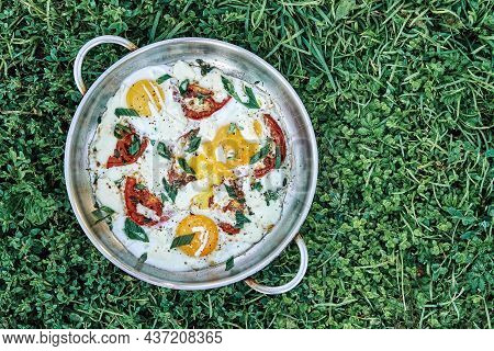 Sunny Side Up Farm Eggs With Added Tomatoes Thyme Onion And Cheese In Metal Frying Pan On Lush Green