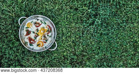 Sunny Side Up Farm Eggs With Added Tomatoes Thyme Onion And Cheese In Metal Frying Pan On Lush Green