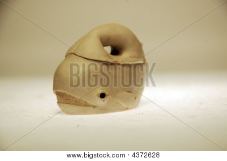 Wieloryb