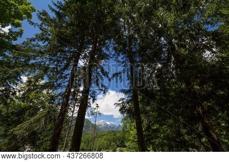 Triglav, Mali Draski, Tosc And Skrlatica Mounts In The Julian Alps, In Slovenia, By Bohinj, Surround