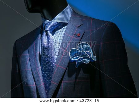 Jaqueta xadrez azul & vermelha com camisa azul quadriculada, modelado laço azul & lenço