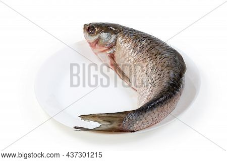 Raw Gutted Carcass Of The Grass Carp Cleaned From Scales And Prepared For Cooking, Lies On White Dis