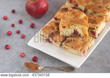 Apple Pie With Cranberries. Simple Homemade Russian Dessert Named Sharlotka Or Sharlotte Cake. Squar