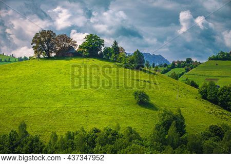 Beautiful Countryside Landscape With Green Fields And Homestead On The Top Of Hill, Holbav, Transylv