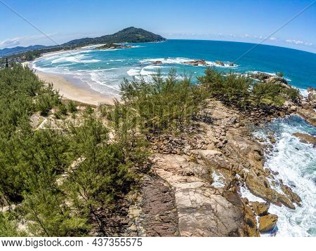 Aerial View With Waves, Rocks And Pine Trees