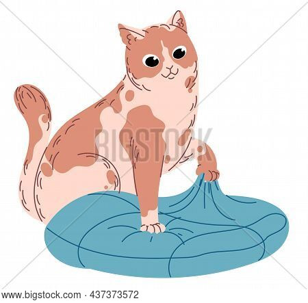 Cat Enjoys Digging Claws Into A Soft Cushion