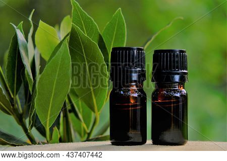 Laurel Oil.bay Leaf Oil.essential Oil Bottles. Laurel Essential Oil.glass Brown Bottles Set And Laur