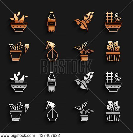 Set Water Spray Bottle, Plant In Pot, Indoor Plant Ivy, Spraying, Tropical Leaves, Cactus Peyote And