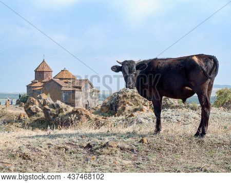 Ruim Of Temple Havuts Tar In Chosrov Reservation  In Armenia