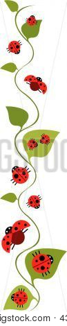 Coccinelle