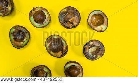 Many Bad Avocado Halves On Yellow Background. Food Fruits Cannot Be Eaten. Overripe Avocado Fruit Cu