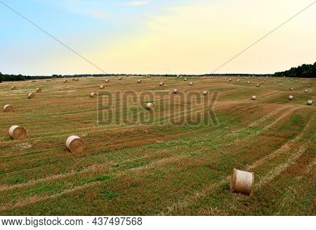 Haystack On Field On Blue Sky Background. Hay Bale From Residues Grass. Hay Stack For Agriculture. H