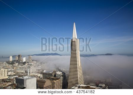 Powierzchniową widok na Transamerica pyramid i miasta San Francisco objęte gęsta mgła
